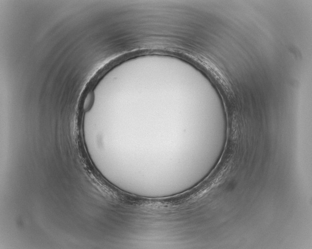 X0000115430880200911251223