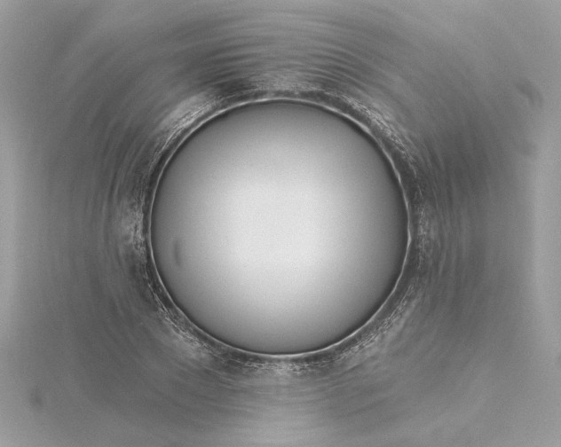 X0000115430881200911251223