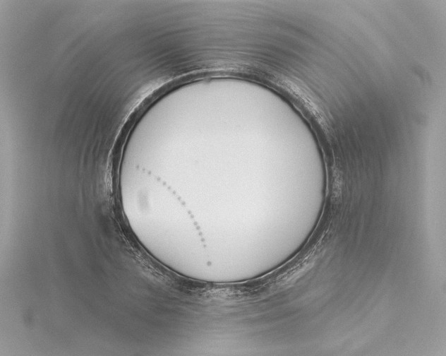 X0000115430883200911251223