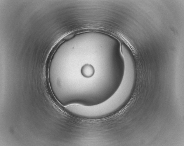 X0000115430884200911251223