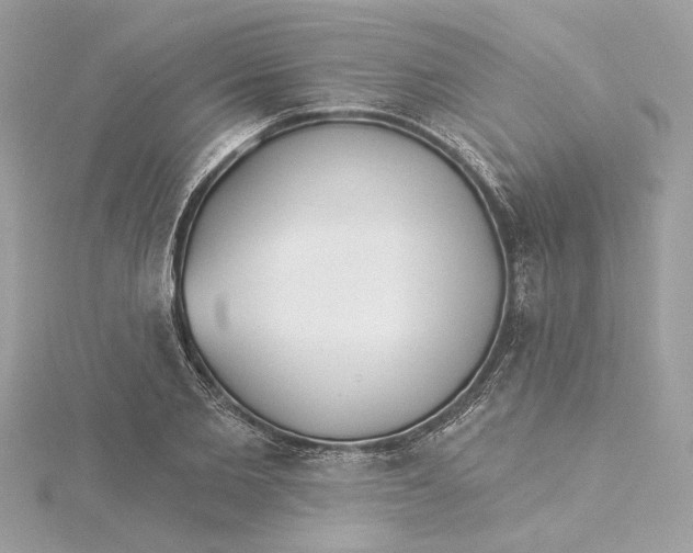 X0000115430885200911251223