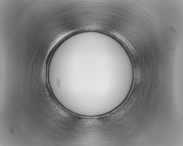 X0000115430886200911251223