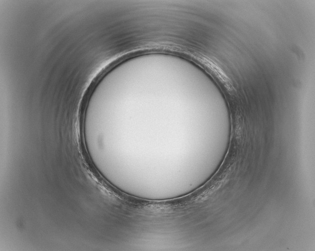 X0000115430888200911251223