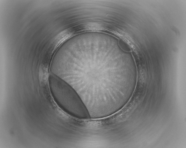 X0000115430889200911251223