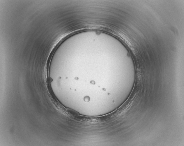 X0000115430891200911251223