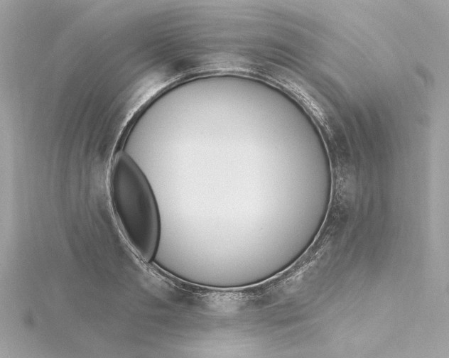 X0000115430893200911251223