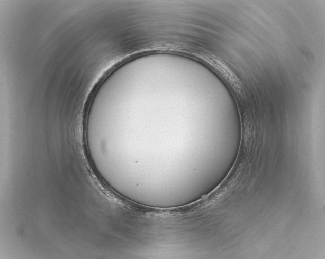 X0000115430896200911251223