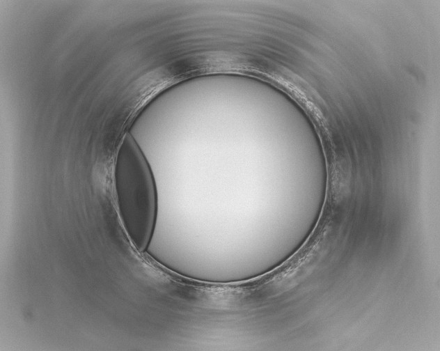 X0000115430897200911251223