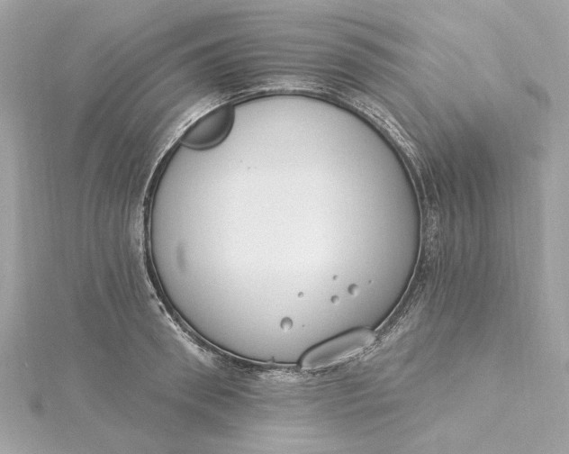 X0000115430898200911251223