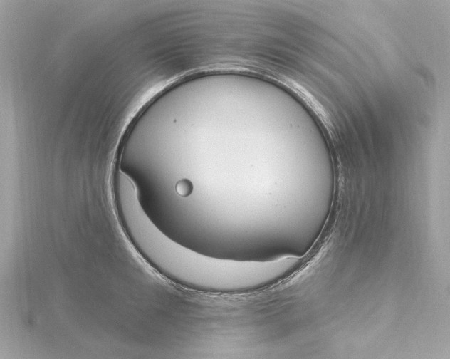 X0000115430901200911251223