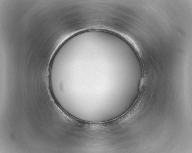 X0000115430903200911251223