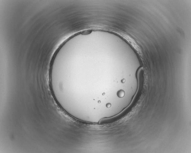 X0000115430904200911251223