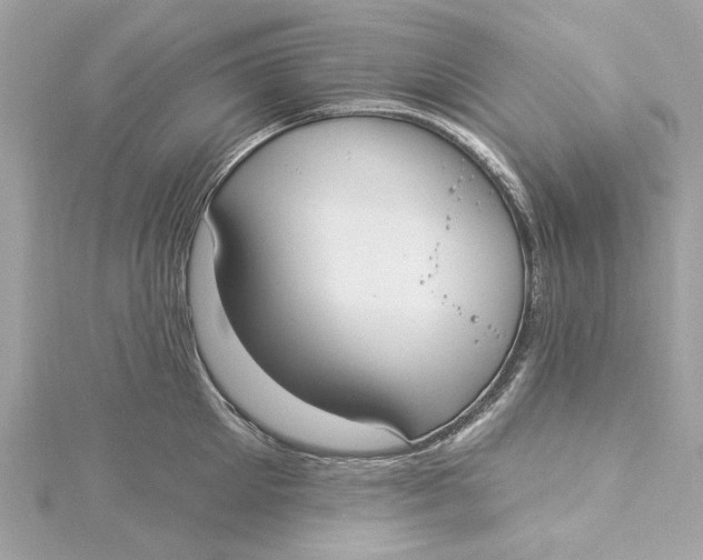 X0000115430905200911251223