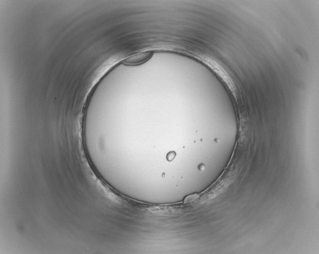 X0000115430906200911251223