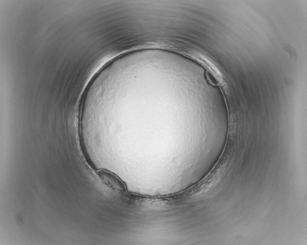 X0000115430907200911251223