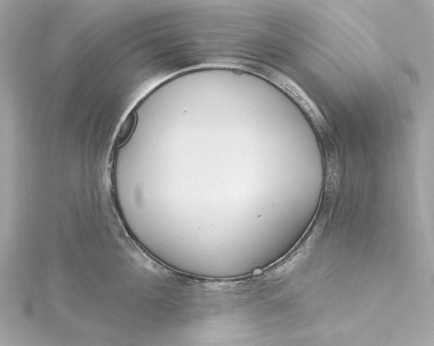 X0000115430908200911251223