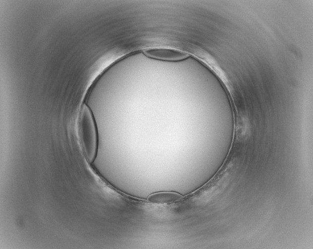 X0000115430909200911251223