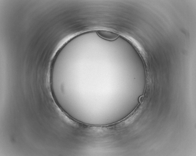 X0000115430910200911251223