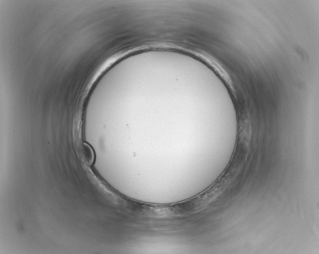 X0000115430911200911251223