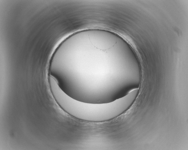 X0000115430912200911251223