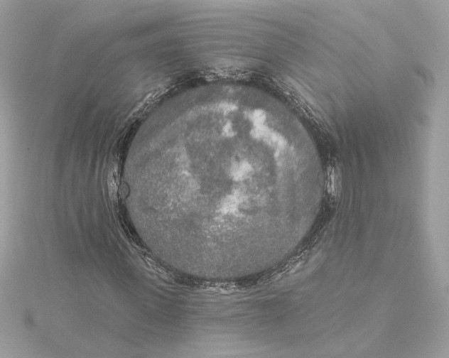 X0000115430915200911251222