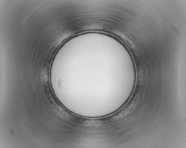 X0000115430929200911251222