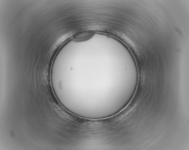 X0000115430930200911251222