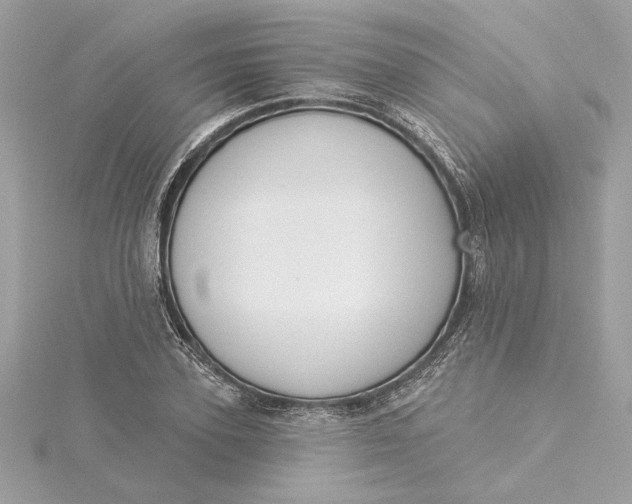 X0000115430931200911251222