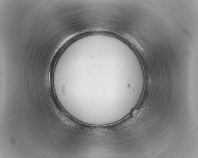 X0000115430934200911251222