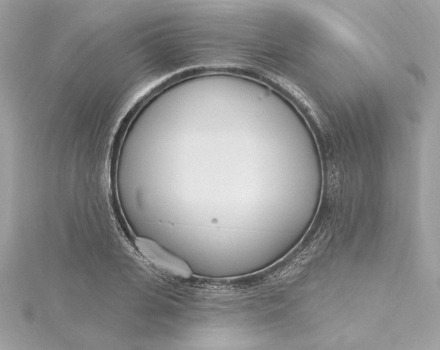 X0000115430935200911251222