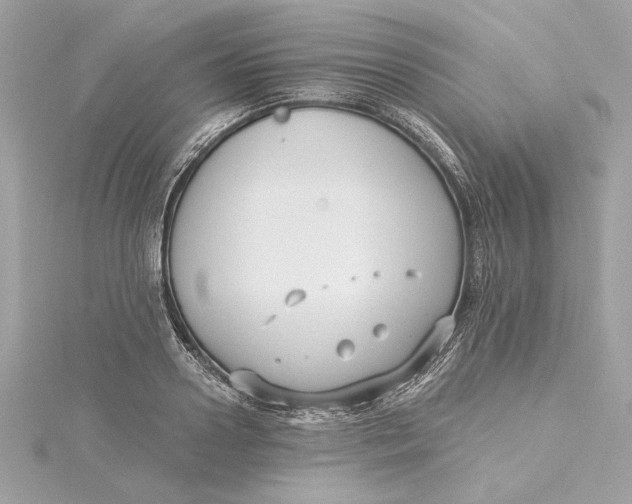 X0000115430938200911251222