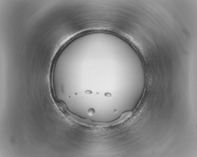 X0000115430943200911251223