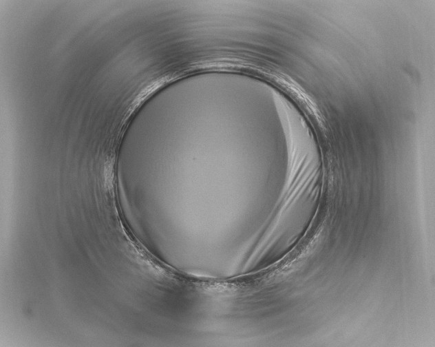 X0000115430945200911251223