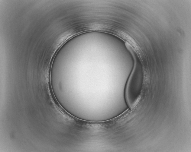 X0000115430946200911251223