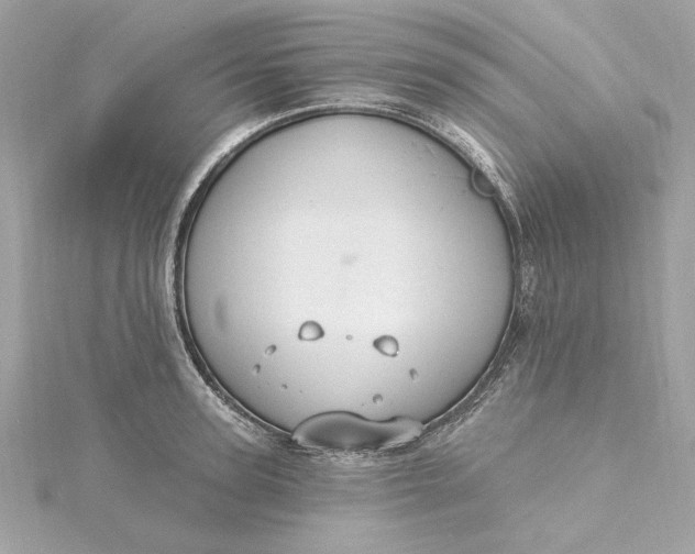 X0000115430947200911251223