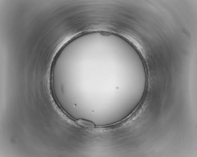 X0000115430949200911251223