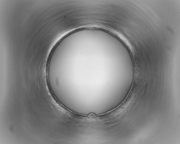 X0000115430951200911251223