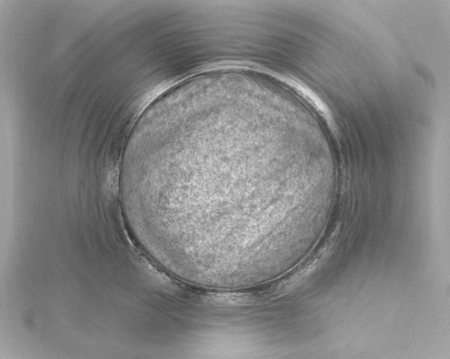 X0000115430953200911251223