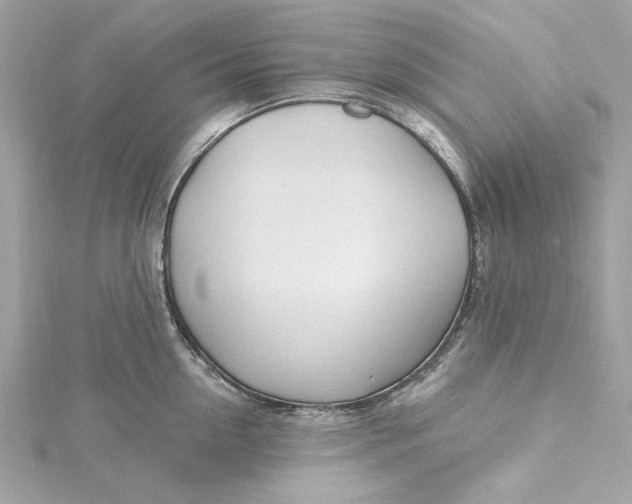 X0000115430954200911251223