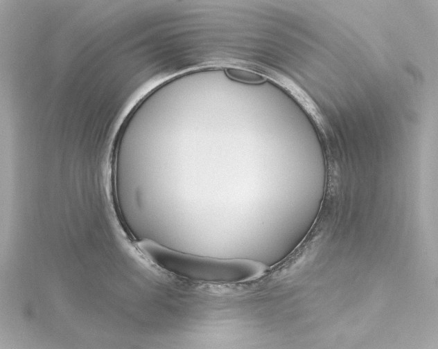 X0000115430955200911251223