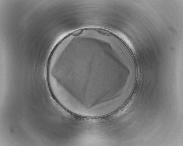 X0000115430958200911251223