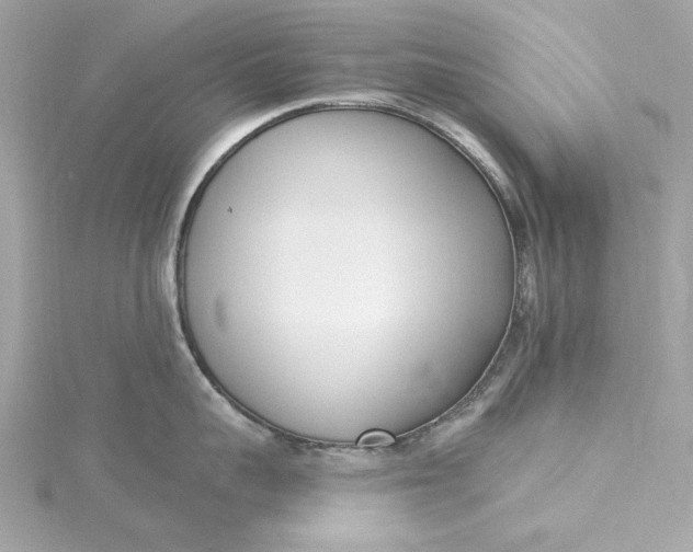 X0000115430959200911251223