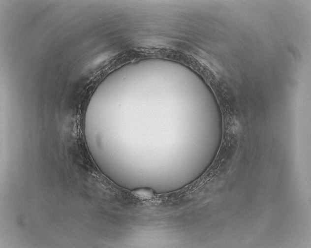 X0000115430965200911251222