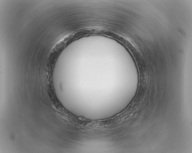 X0000115430967200911251222