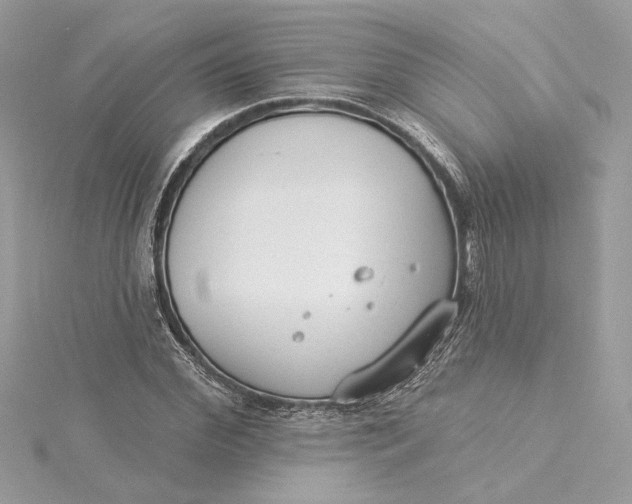 X0000115430972200911251222