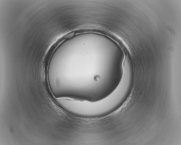 X0000115430973200911251222