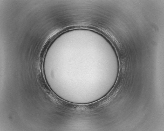 X0000115430974200911251222