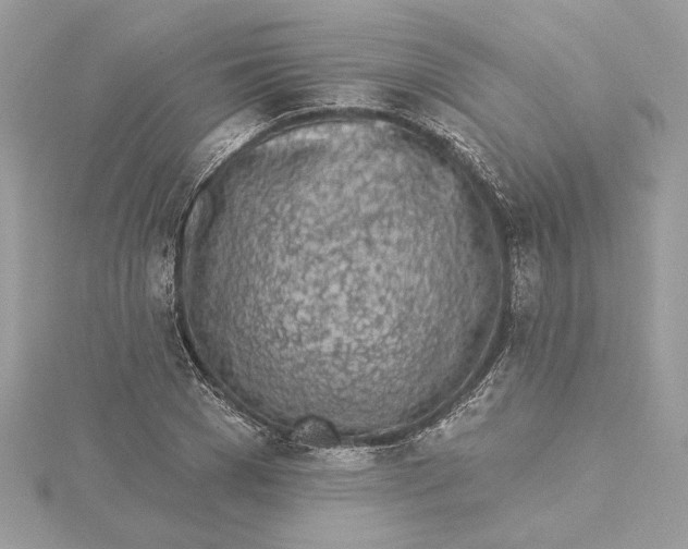 X0000115430977200911251222