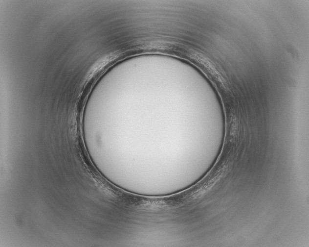 X0000115430978200911251222