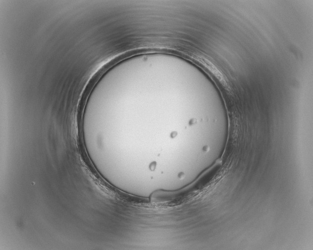 X0000115430980200911251222